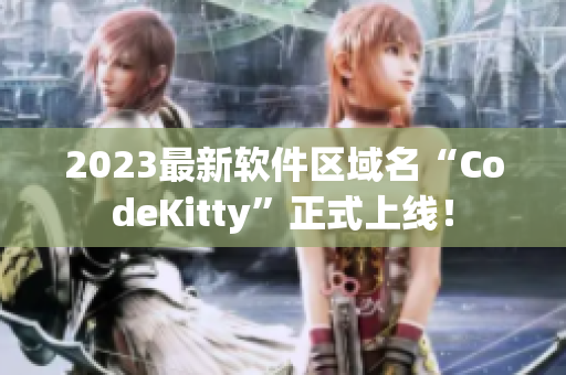2023最新软件区域名“CodeKitty”正式上线！