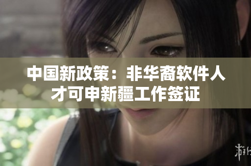 中国新政策：非华裔软件人才可申新疆工作签证