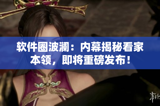 软件圈波澜：内幕揭秘看家本领，即将重磅发布！