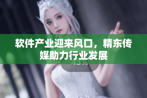 软件产业迎来风口，精东传媒助力行业发展