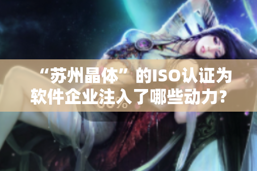 “苏州晶体”的ISO认证为软件企业注入了哪些动力？