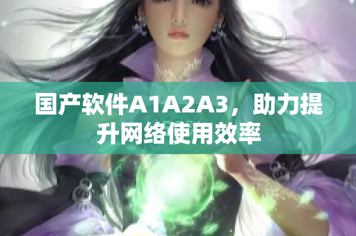 国产软件A1A2A3，助力提升网络使用效率