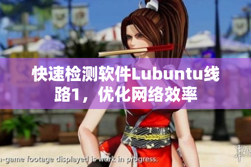 快速检测软件Lubuntu线路1，优化网络效率