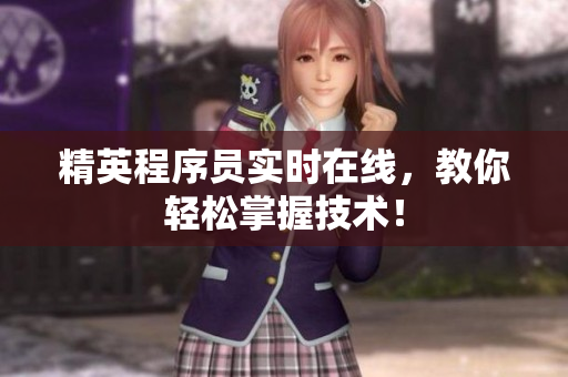 精英程序员实时在线，教你轻松掌握技术！