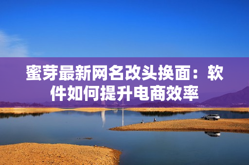 蜜芽最新网名改头换面：软件如何提升电商效率