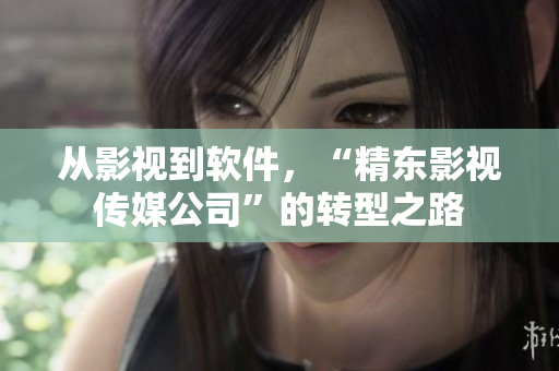 从影视到软件，“精东影视传媒公司”的转型之路