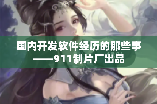 国内开发软件经历的那些事——911制片厂出品