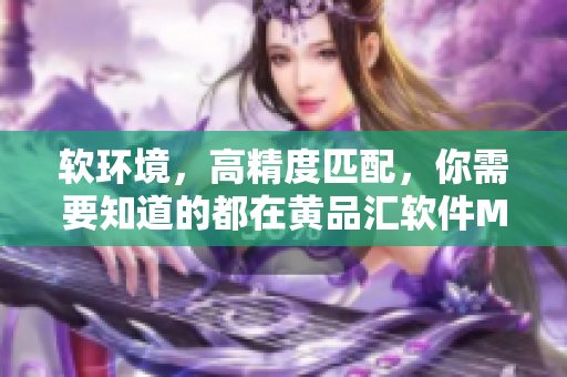 软环境，高精度匹配，你需要知道的都在黄品汇软件MBA智库