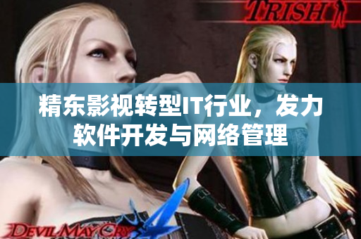 精东影视转型IT行业，发力软件开发与网络管理