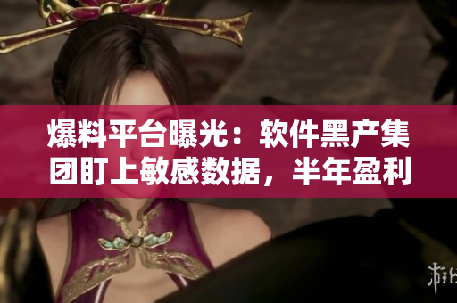 爆料平台曝光：软件黑产集团盯上敏感数据，半年盈利数百万