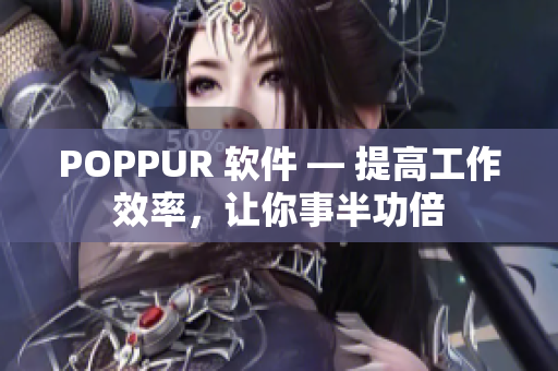 POPPUR 软件 — 提高工作效率，让你事半功倍