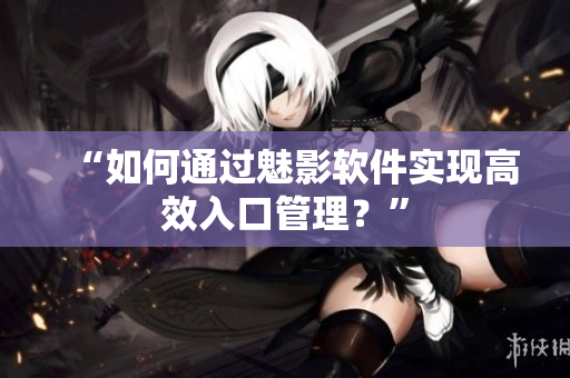 “如何通过魅影软件实现高效入口管理？”