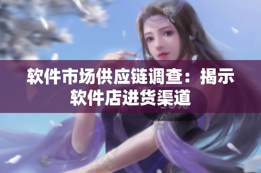 软件市场供应链调查：揭示软件店进货渠道
