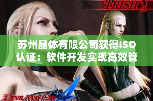 苏州晶体有限公司获得ISO认证：软件开发实现高效管理
