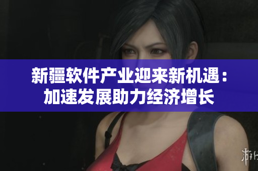 新疆软件产业迎来新机遇：加速发展助力经济增长
