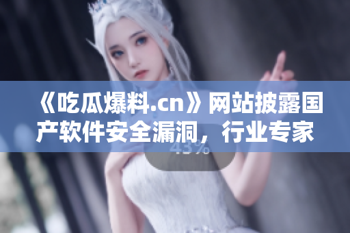 《吃瓜爆料.cn》网站披露国产软件安全漏洞，行业专家呼吁加强监管