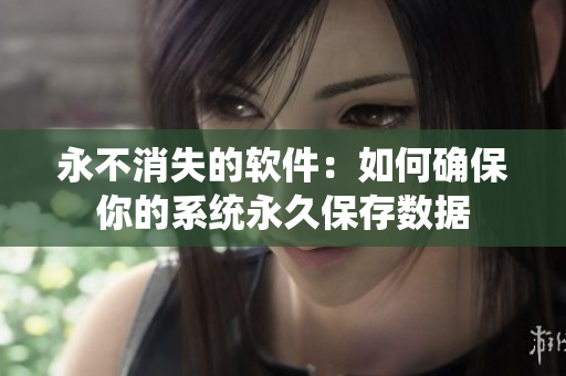 永不消失的软件：如何确保你的系统永久保存数据