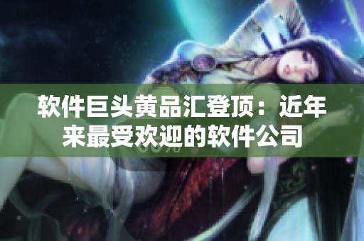 软件巨头黄品汇登顶：近年来最受欢迎的软件公司