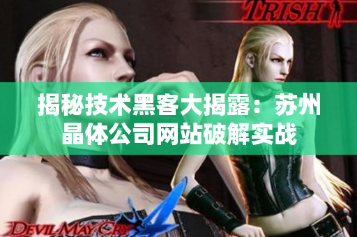 揭秘技术黑客大揭露：苏州晶体公司网站破解实战