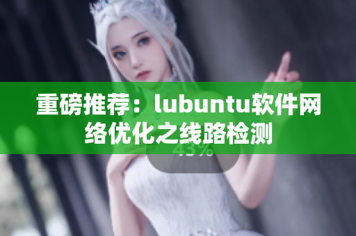 重磅推荐：lubuntu软件网络优化之线路检测
