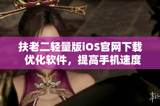扶老二轻量版iOS官网下载  优化软件，提高手机速度