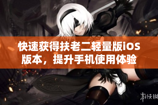 快速获得扶老二轻量版iOS版本，提升手机使用体验