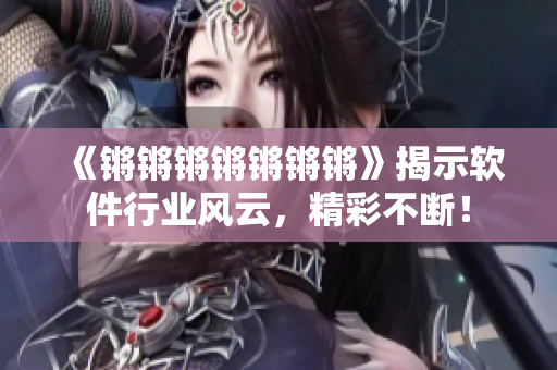 《锵锵锵锵锵锵锵》揭示软件行业风云，精彩不断！