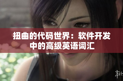 扭曲的代码世界：软件开发中的高级英语词汇