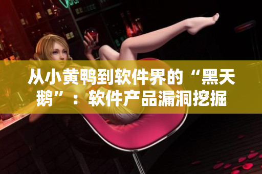 从小黄鸭到软件界的“黑天鹅”：软件产品漏洞挖掘