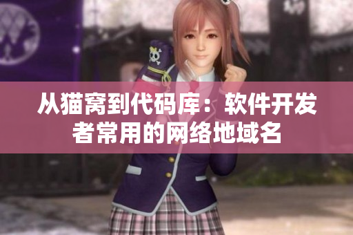 从猫窝到代码库：软件开发者常用的网络地域名