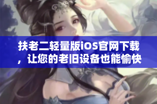 扶老二轻量版iOS官网下载，让您的老旧设备也能愉快畅玩游戏！