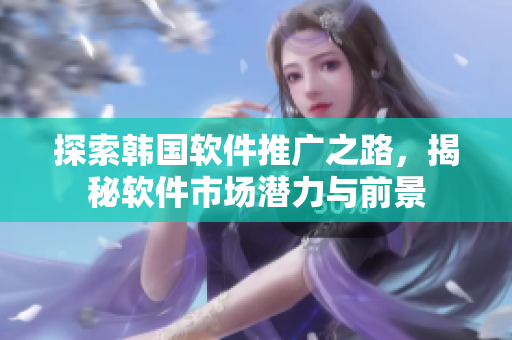 探索韩国软件推广之路，揭秘软件市场潜力与前景