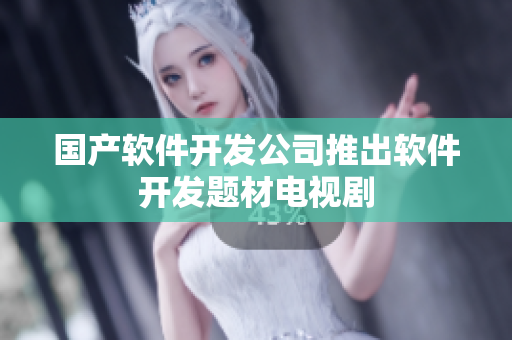 国产软件开发公司推出软件开发题材电视剧