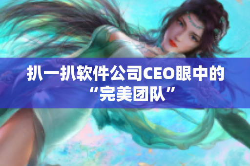 扒一扒软件公司CEO眼中的“完美团队”