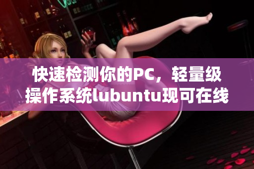 快速检测你的PC，轻量级操作系统lubuntu现可在线观看广告