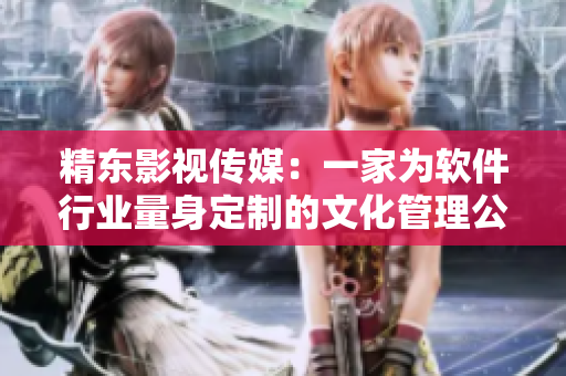 精东影视传媒：一家为软件行业量身定制的文化管理公司