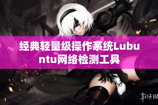 经典轻量级操作系统Lubuntu网络检测工具