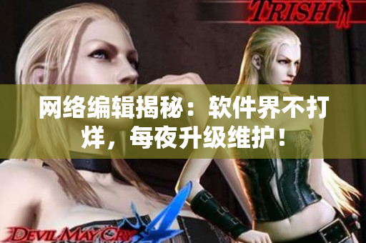 网络编辑揭秘：软件界不打烊，每夜升级维护！