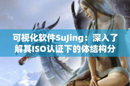 可视化软件SuJing：深入了解其ISO认证下的体结构分析