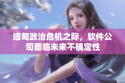 缅甸政治危机之际，软件公司面临未来不确定性