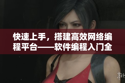 快速上手，搭建高效网络编程平台——软件编程入门全解析