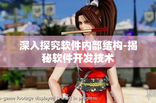 深入探究软件内部结构-揭秘软件开发技术