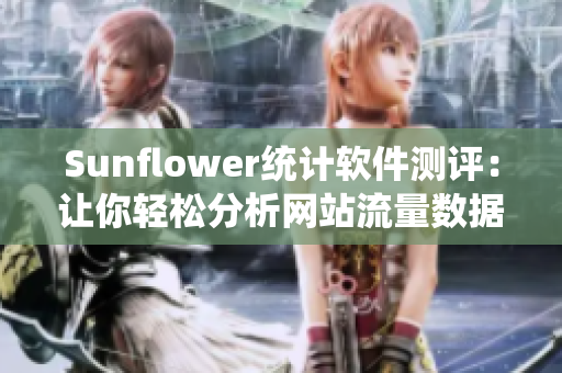 Sunflower统计软件测评：让你轻松分析网站流量数据