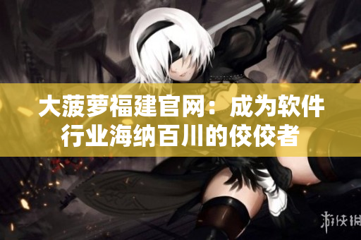 大菠萝福建官网：成为软件行业海纳百川的佼佼者