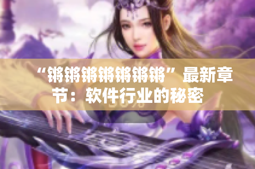 “锵锵锵锵锵锵锵”最新章节：软件行业的秘密