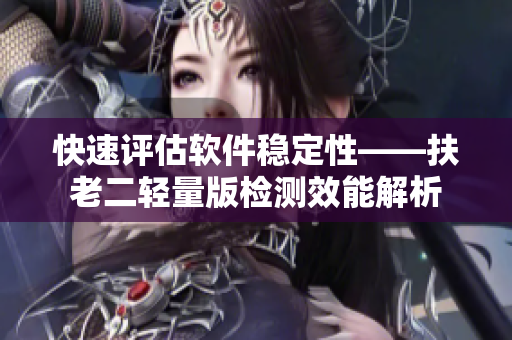 快速评估软件稳定性——扶老二轻量版检测效能解析