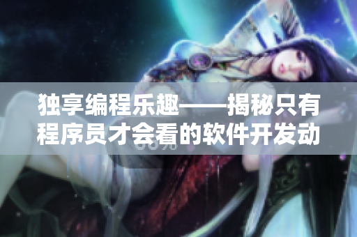 独享编程乐趣——揭秘只有程序员才会看的软件开发动画