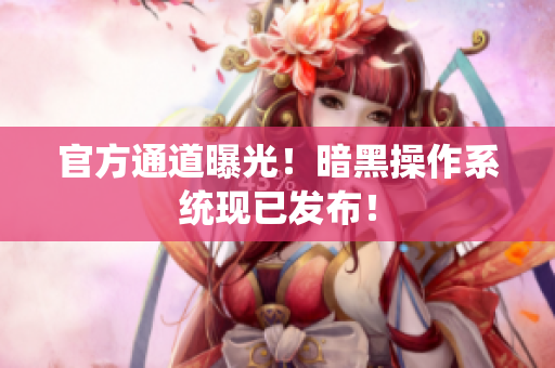 官方通道曝光！暗黑操作系统现已发布！