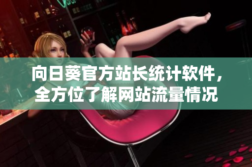 向日葵官方站长统计软件，全方位了解网站流量情况