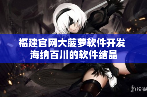 福建官网大菠萝软件开发 海纳百川的软件结晶
